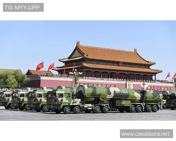 武汉排球队勇闯洲际杯的辉煌历程与背后故事揭秘