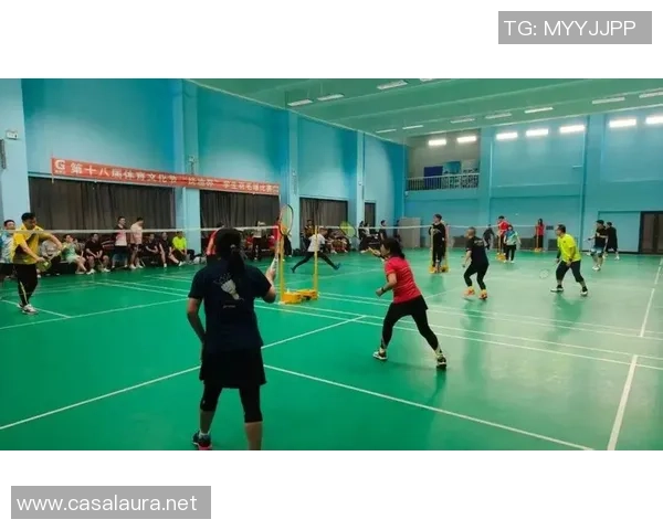 冠军赛点评：重庆羽毛球队的团队协作表现