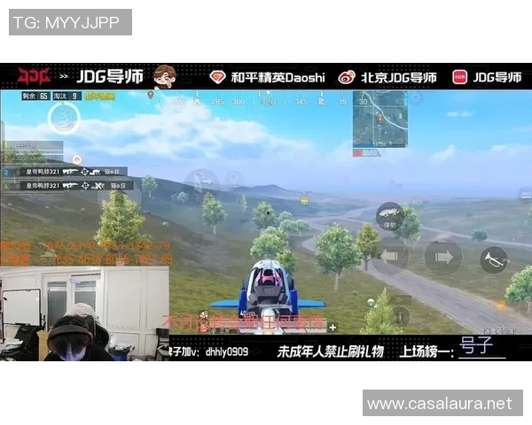 和平精英评论：JDG的运营得失