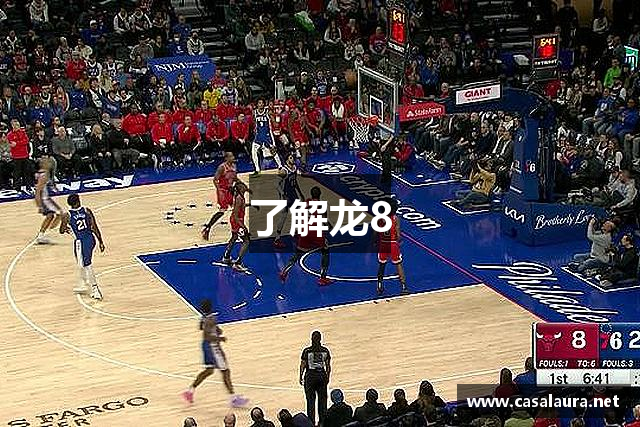 了解龙8